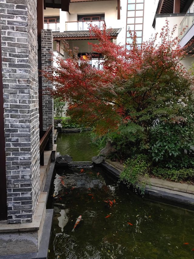 宰相府廣富林兩日遊