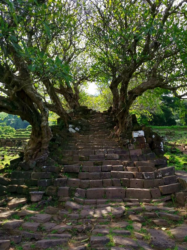 瓦普寺【蟒象鱷龍】老撾境內的吳哥寺廟世遺