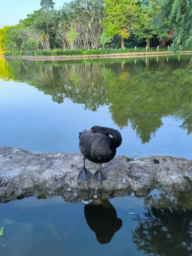 Bijiashan Park in Shenzhen | A harmonious blend of nature and artifice