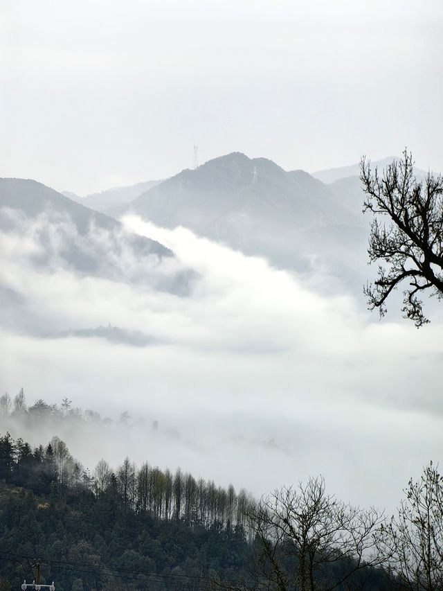 雲瀰漫茶山，安徽小眾景點休寧金龍山雲上茶園裡度假酒店