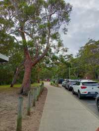 Shoal Bay 海灘