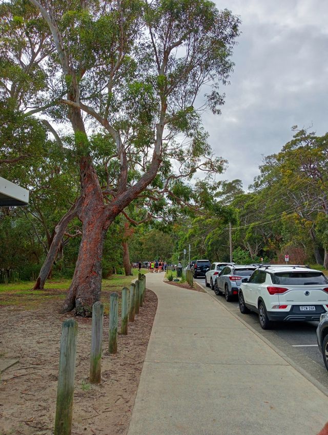 Shoal Bay 海灘