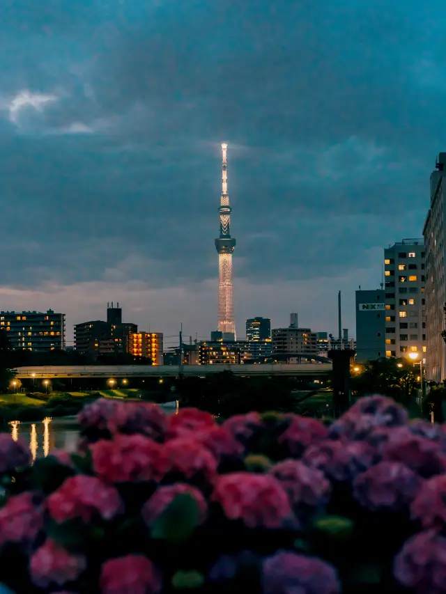 東京で無料の最も美しい紫陽花の観賞地はここにあります！