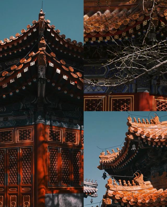 北京藝術博物館|觀古建賞玉蘭，太美了
