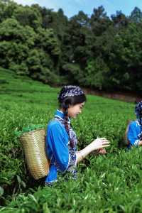 隱藏在梅州的一處絕美景點—雁南飛