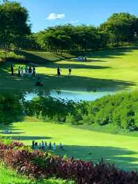 我宣布這是深圳公園天花板