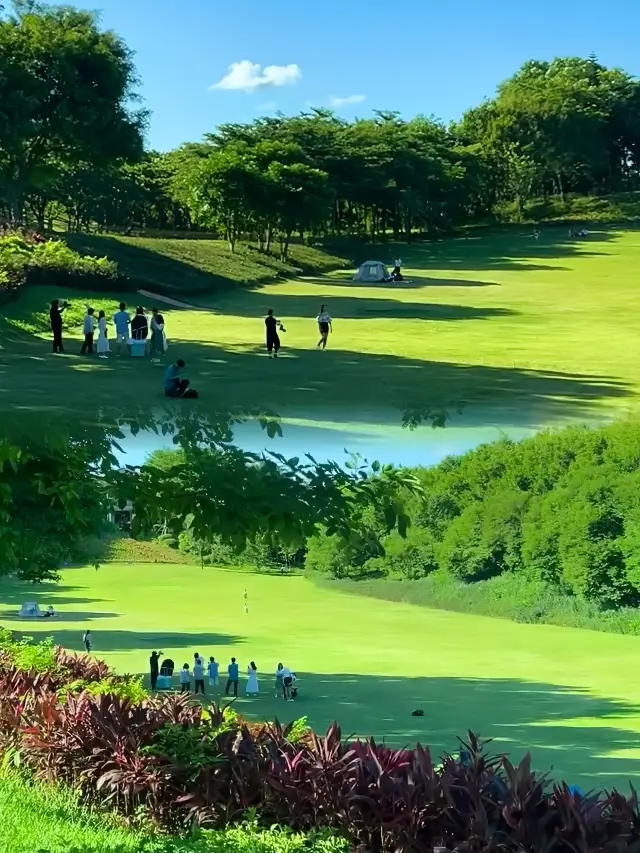 I hereby declare this the ceiling of Shenzhen Park