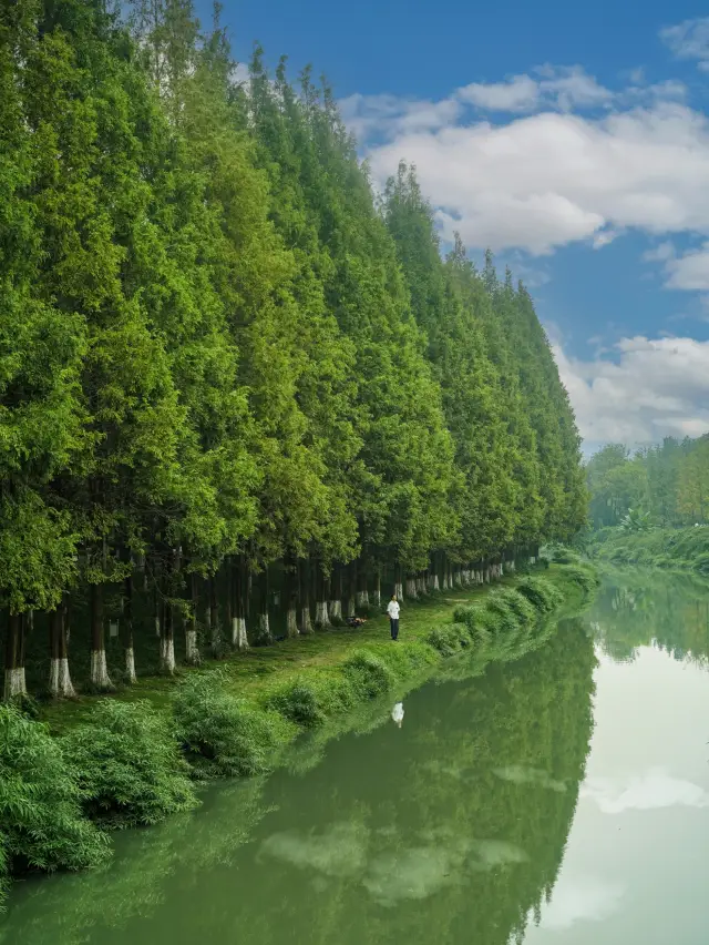 Camping in the city's secret realm directly accessible by Chengdu Metro, autumn is even more beautiful