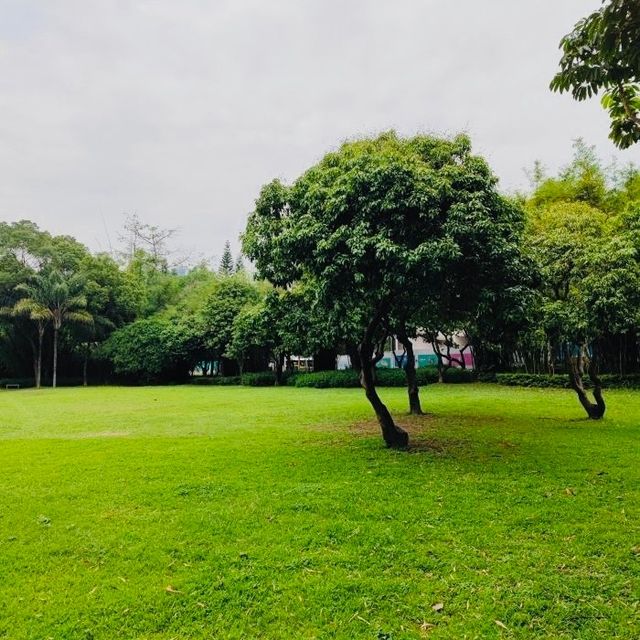 夏日治愈系綠色這個公園隨手一拍都好美