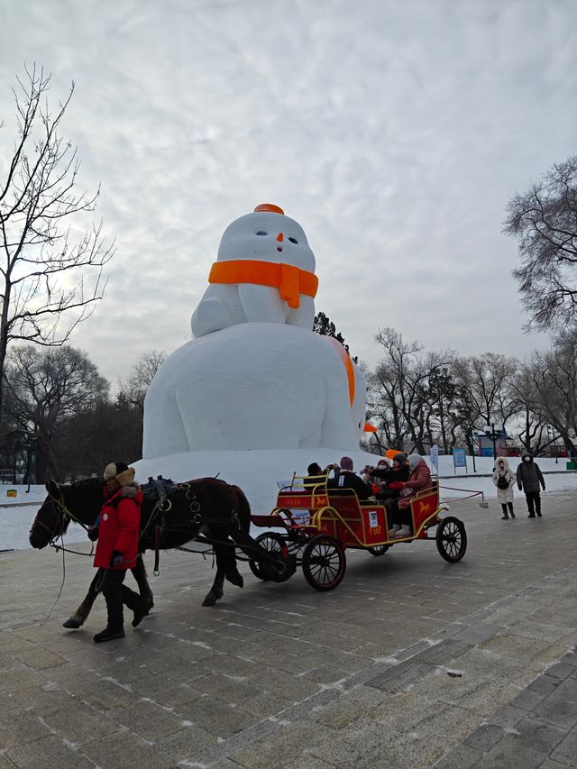 雪博會，冬季盛景！