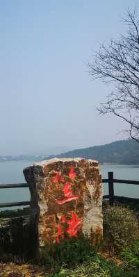 太湖植物園 八天免門票   震驚我的三下巴！！！