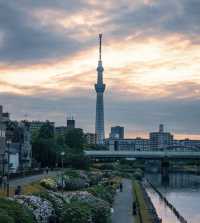 「日本漫畫風情，霓虹國的滿滿驚喜！我的十天夢幻之旅」