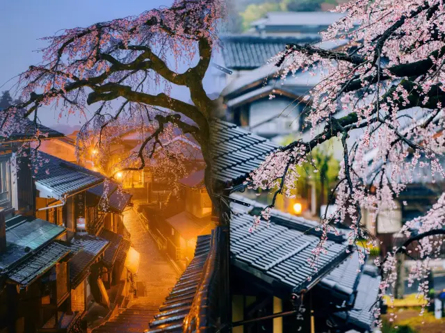 Woke up at 4:00 AM to capture the cherry blossom ambiance at its peak in Kyoto, Japan