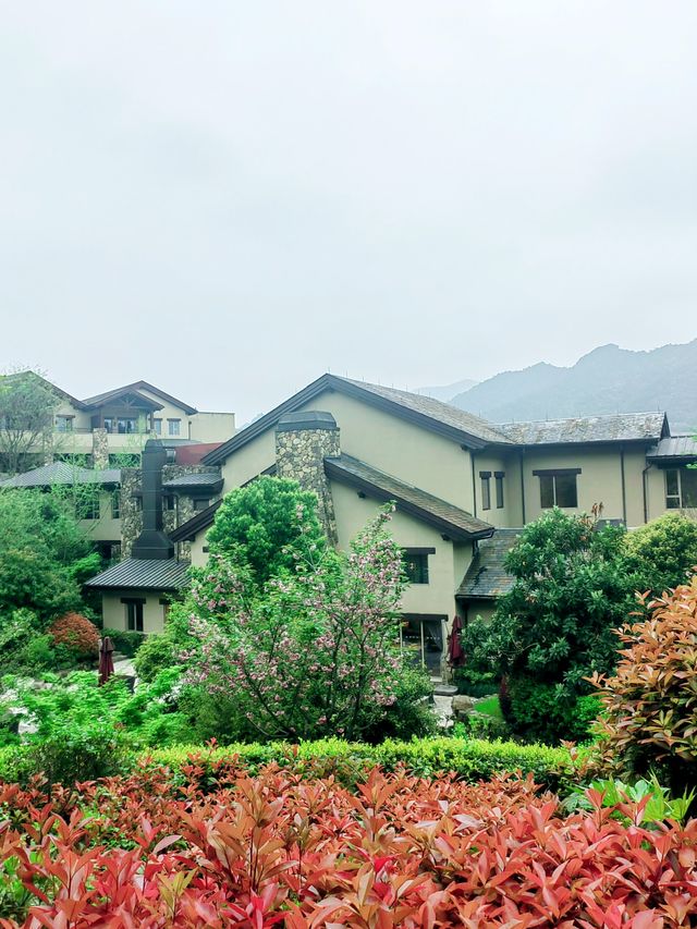 安吉JW萬豪酒店，只看過一眼，就沒法忘記那容顏