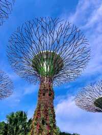 Relax at Marina Bay Garden 🇸🇬