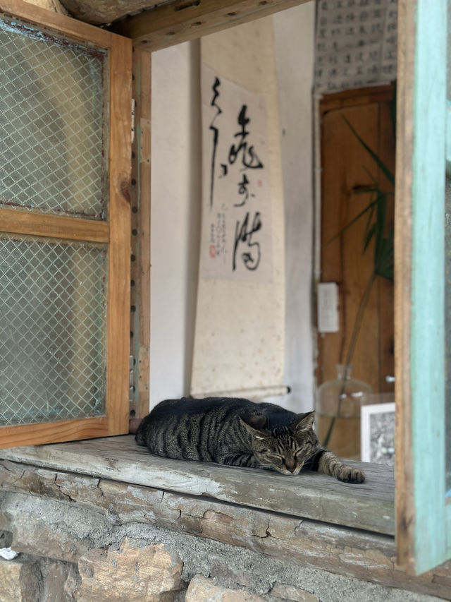 打卡南山另一條小眾步道 — 清水溪步道