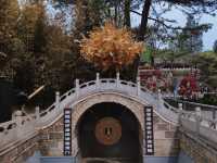 隱藏在寺廟裡的花海京郊遊紅螺寺