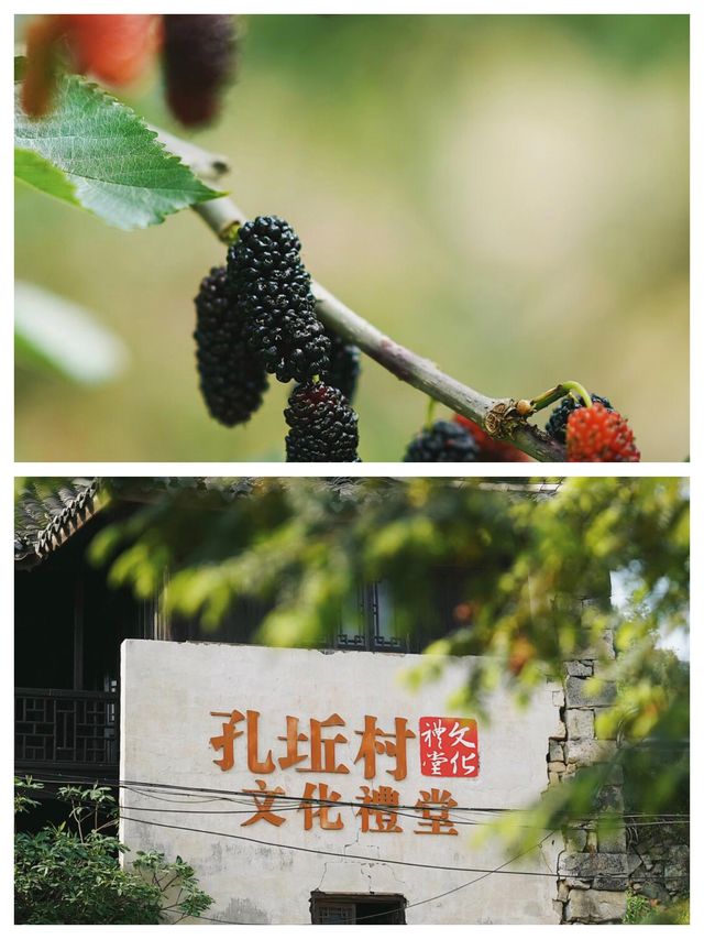 五一逆向旅遊！真沒什麼人！