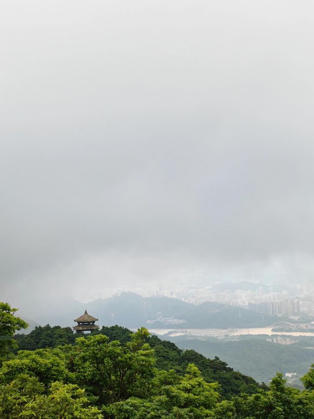 深圳大小梧桐山超詳細攻略