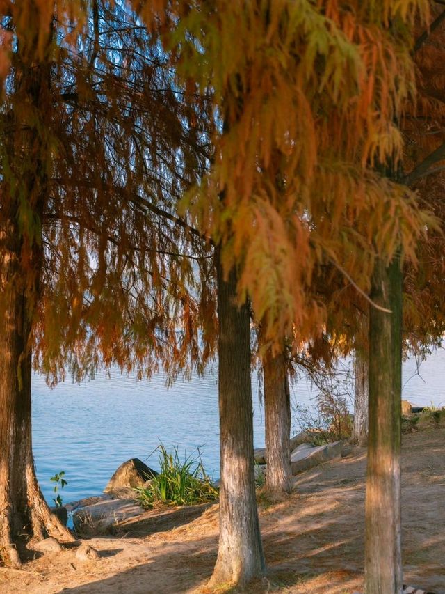 Lovely Xianghu Lake in Hangzhou❤️😍