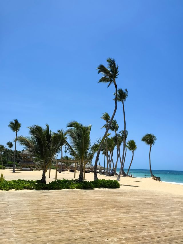 蓬塔卡納：加勒比海的度假天堂，被稱為“多明尼加最美的地方”