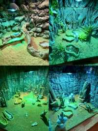 沈陽海底世界 水族館 海藍星夢幻城