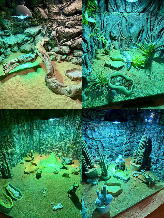 沈陽海底世界 水族館 海藍星夢幻城