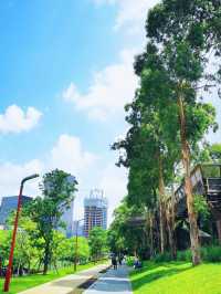我宣布！ 大沙河生態公園是深圳公園的天花板！