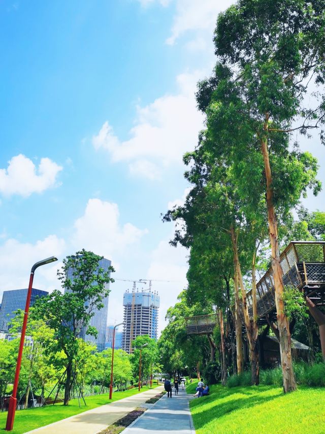 我宣布！ 大沙河生態公園是深圳公園的天花板！