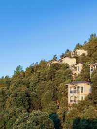 🌟 Chail's Hidden Gem: Luxury Amidst the Pines 🌲