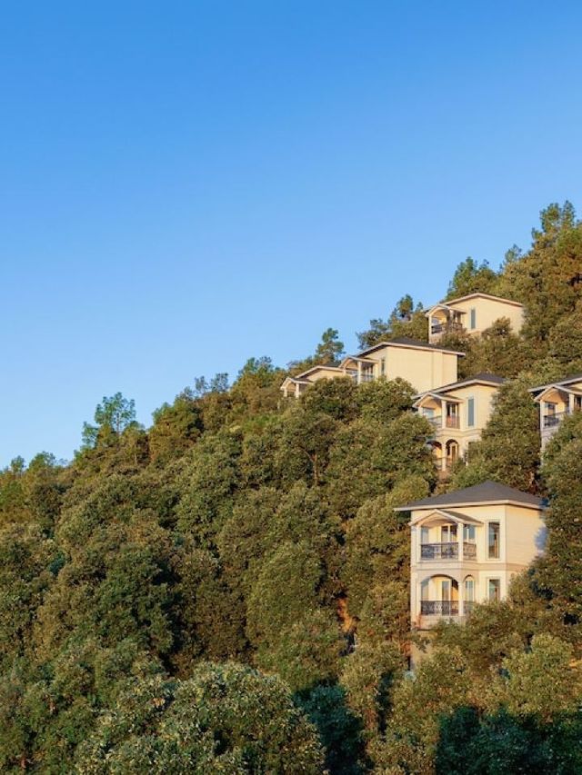 🌟 Chail's Hidden Gem: Luxury Amidst the Pines 🌲