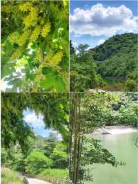 招虎山植物王國