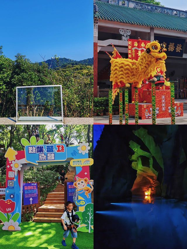 佛山森林探險和孩子玩瘋啦！