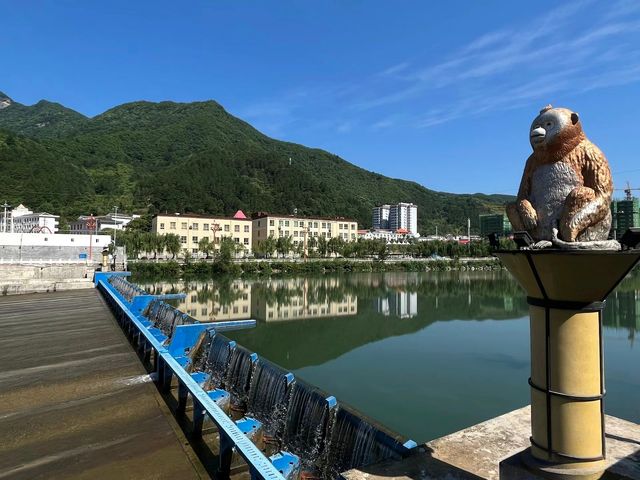 西安一人行之：佛坪全攻略！