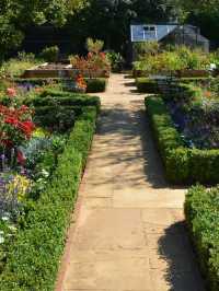 🌟 Shanklin's Haven Hall Hotel Highlights ✨