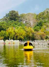 Citywalk|成都必打卡寶藏公園--新都桂湖
