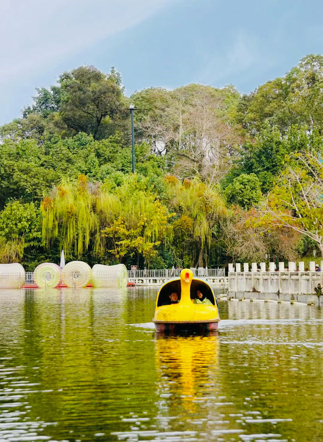 Citywalk|成都必打卡寶藏公園--新都桂湖