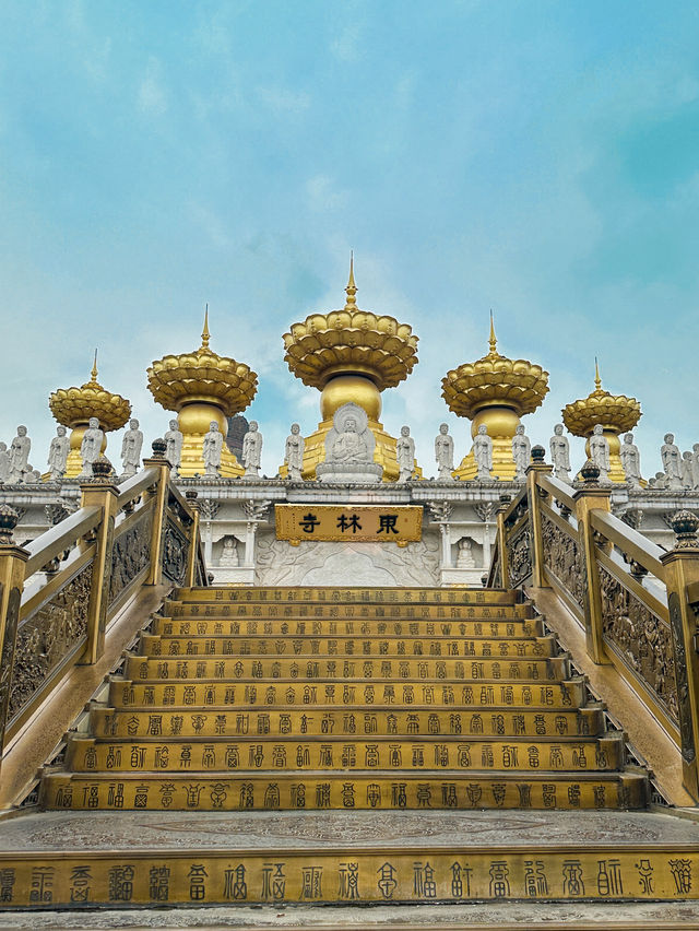 Shanghai’s hidden spot: Donglin Temple