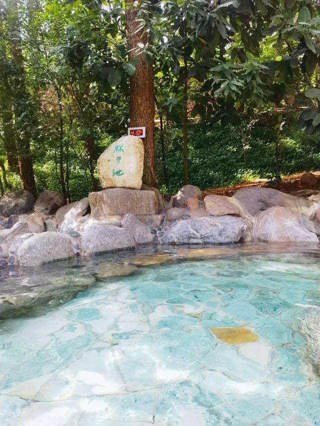 泡湯好去處～金方森林溫泉