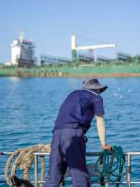 海驴岛避暑真出片 碧蓝海喂海鸥完全攻略︎