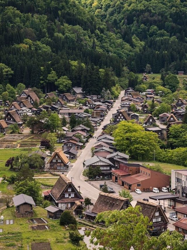 🌸 Takayama's Top Onsen Hotel: A Royal Experience! 🏨✨