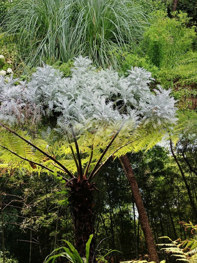逃離都市喧囂，成都植物園帶你走進自然天堂！