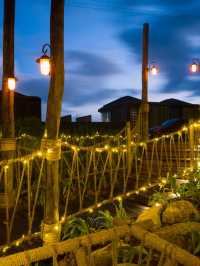 🌴 Phuket's Hidden Gem: Akra Collection Layan 🏖️