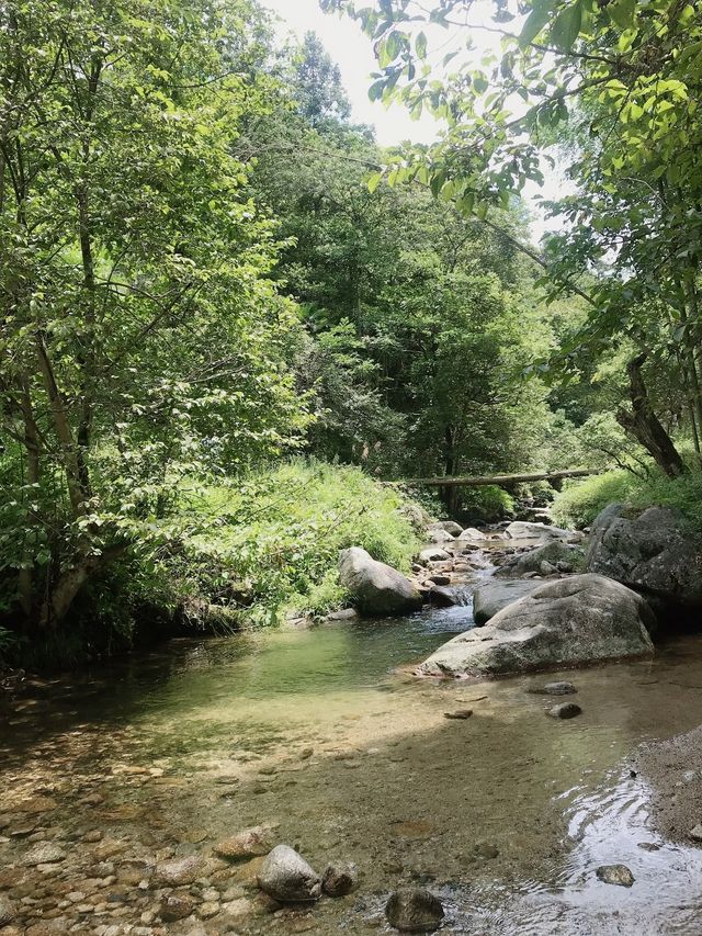 长沙周邊遊 | 株洲神龍谷森林公園