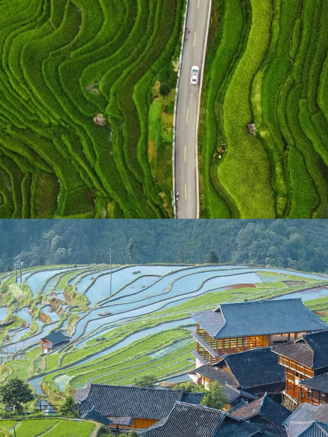 加榜梯田-貴州最後的雲隱秘境 加榜梯田-貴州最後的雲隱秘境