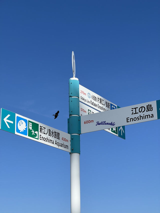 🇯🇵｜東京5日精華版攻略！附美食+路線🗼
