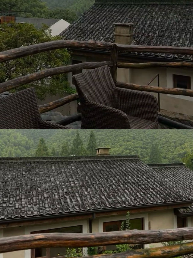 在莫干山|雨天好適合躺在山裡