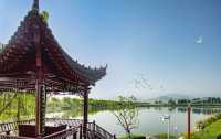 西安溜娃新去處，夏日避暑湖與鷺~