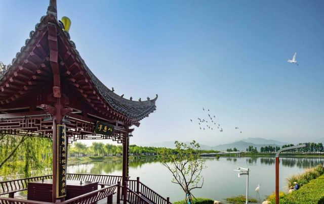 西安溜娃新去處，夏日避暑湖與鷺~