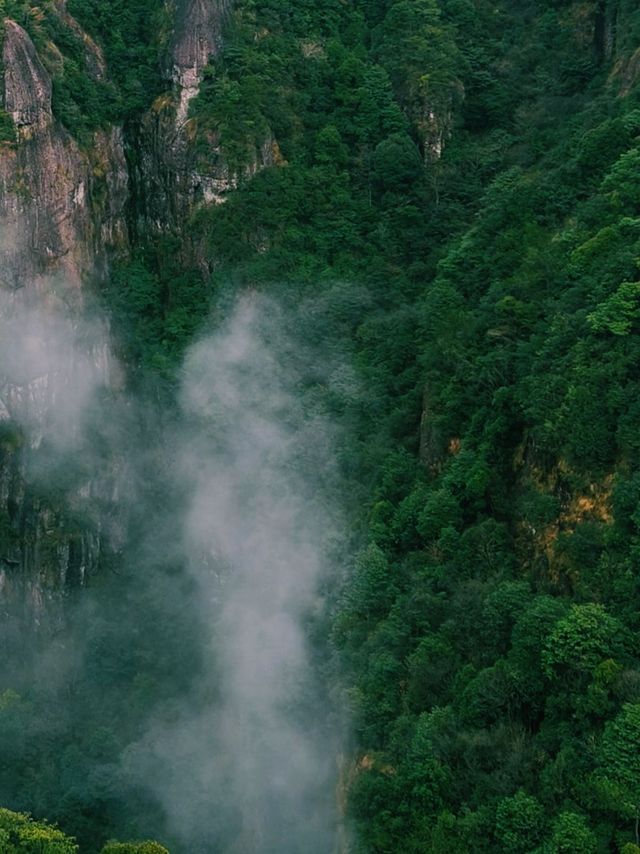 形如空中的玉如意，又似仙女的披帛